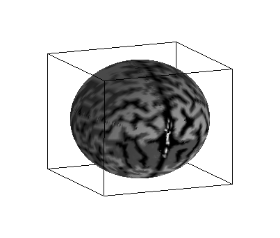spherical brain sample