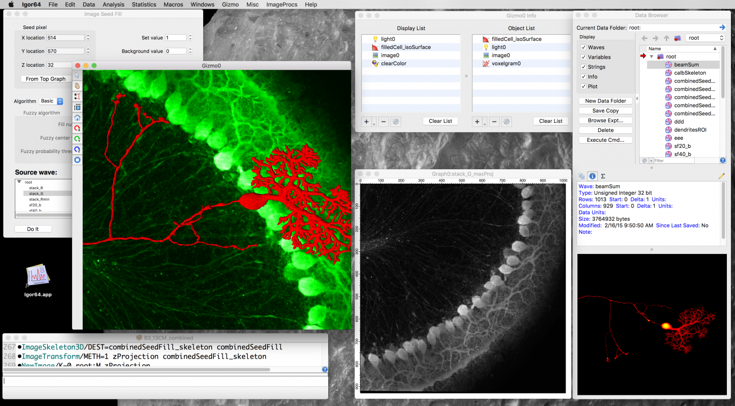 3D plot of filled cell image using "Gizmo".