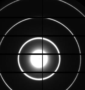A capture of the gray scale image.