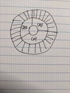 The donut plot I want to make in IGOR