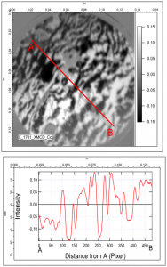 XMCD Image of Co and LineProfile