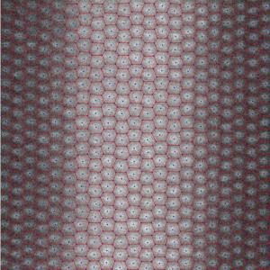 Image, positions of atomic columns, and voronoi tesselation