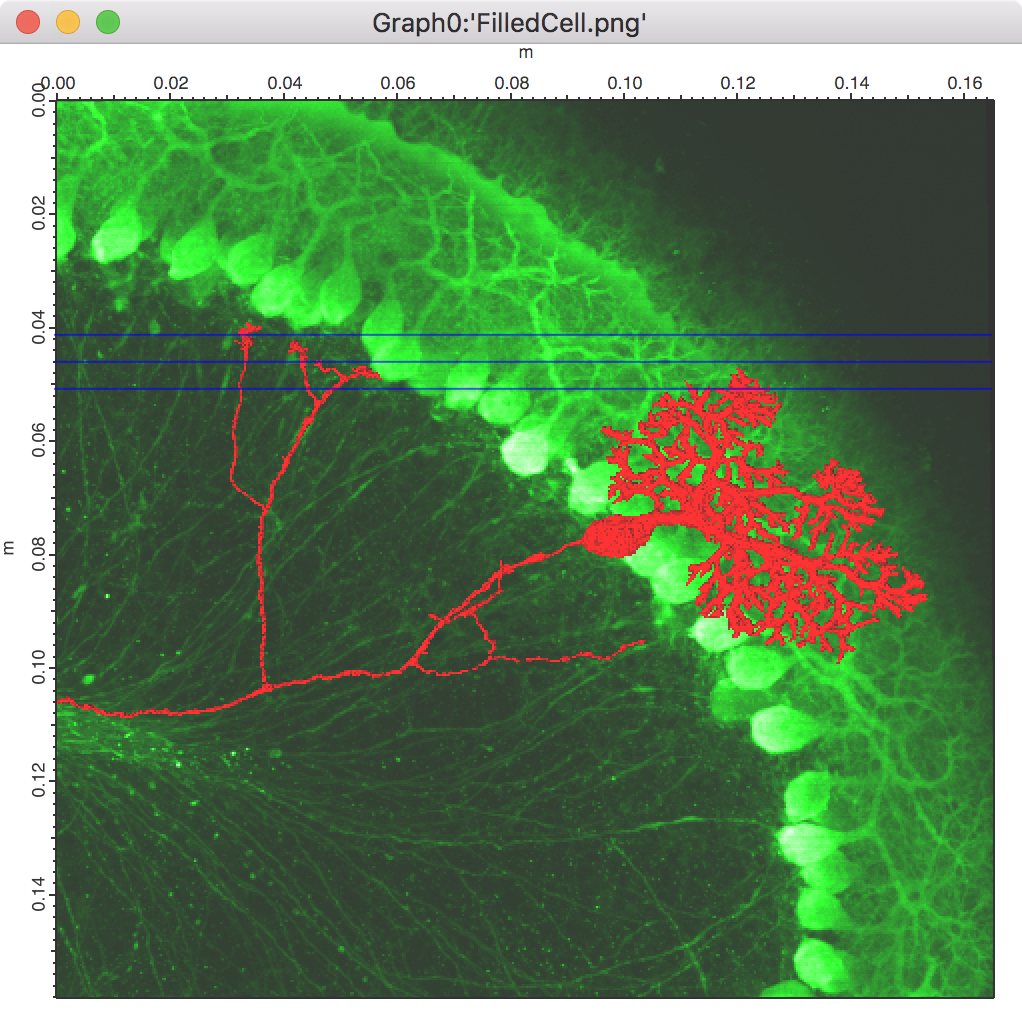 FilledCellGraph.png