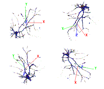 4 rotations