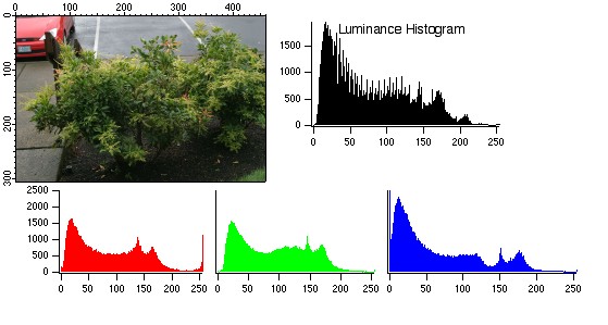 mid-exposure image example with corresponding histograms