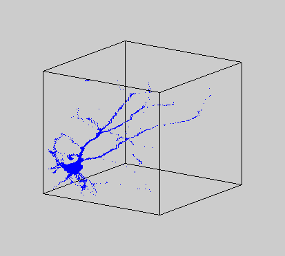 neural voxelgram