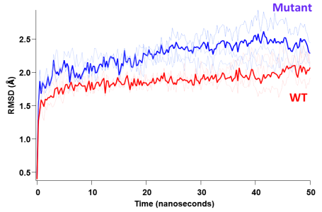 MD simulation-RMSD